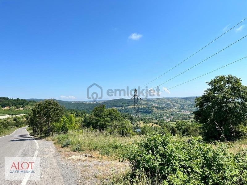 Şile Çelebi De Satılık 5653m2 Tarla - 21