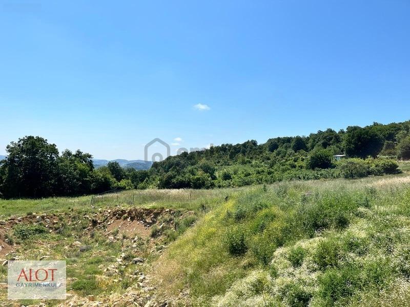 Şile Çelebi De Satılık 5653m2 Tarla - 27