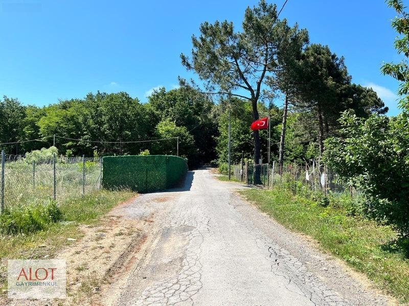 Şile Çelebi De Satılık 5653m2 Tarla - 3