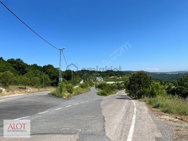 Şile Çelebi De Satılık 5653m2 Tarla - 24