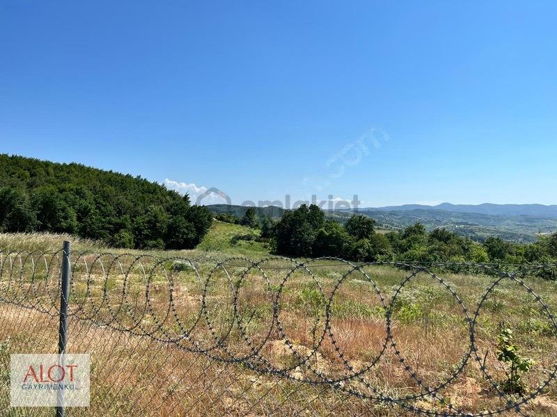 Şile Çelebi De Satılık 5653m2 Tarla - 10
