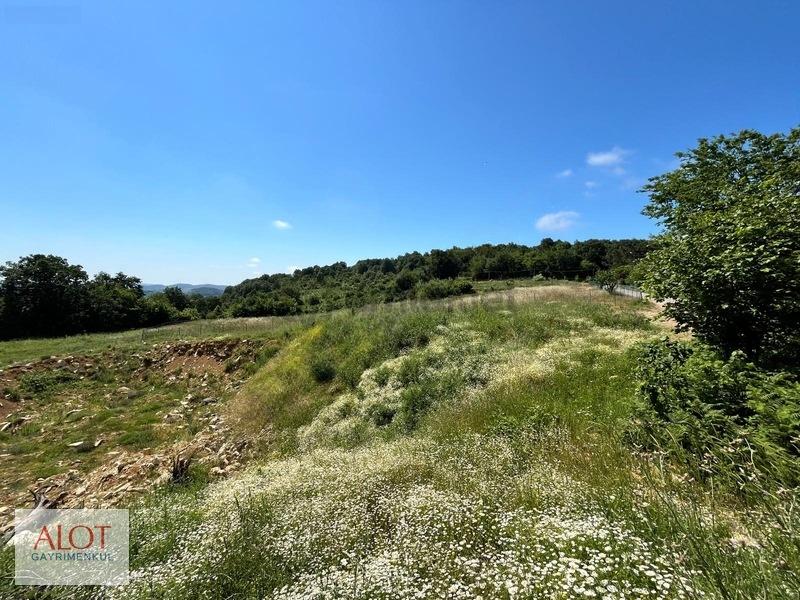 Şile Çelebi De Satılık 5653m2 Tarla - 25