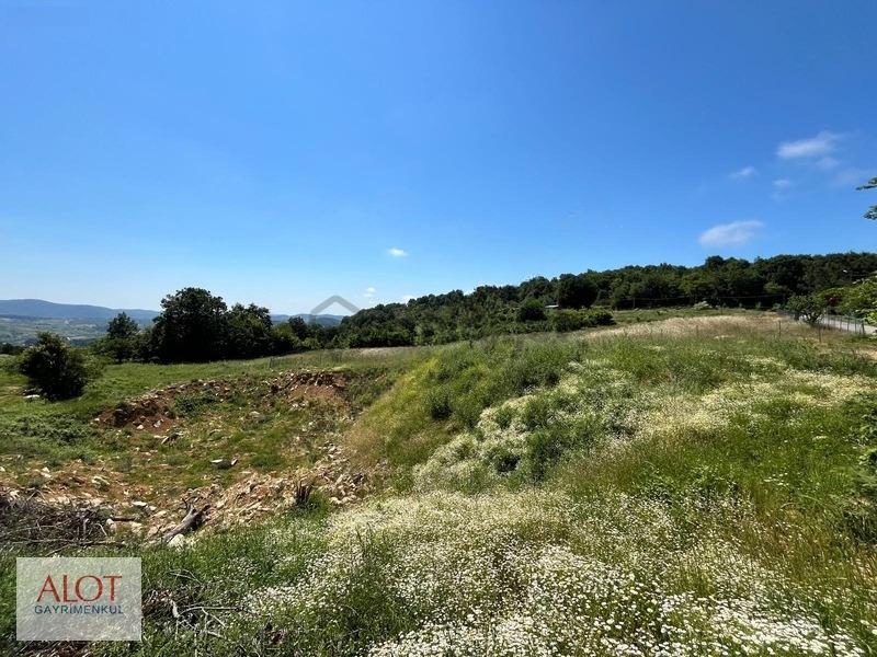 Şile Çelebi De Satılık 5653m2 Tarla - 13