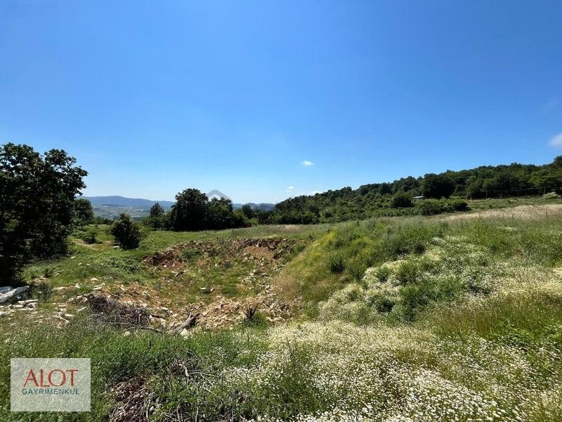 Şile Çelebi De Satılık 5653m2 Tarla - 26