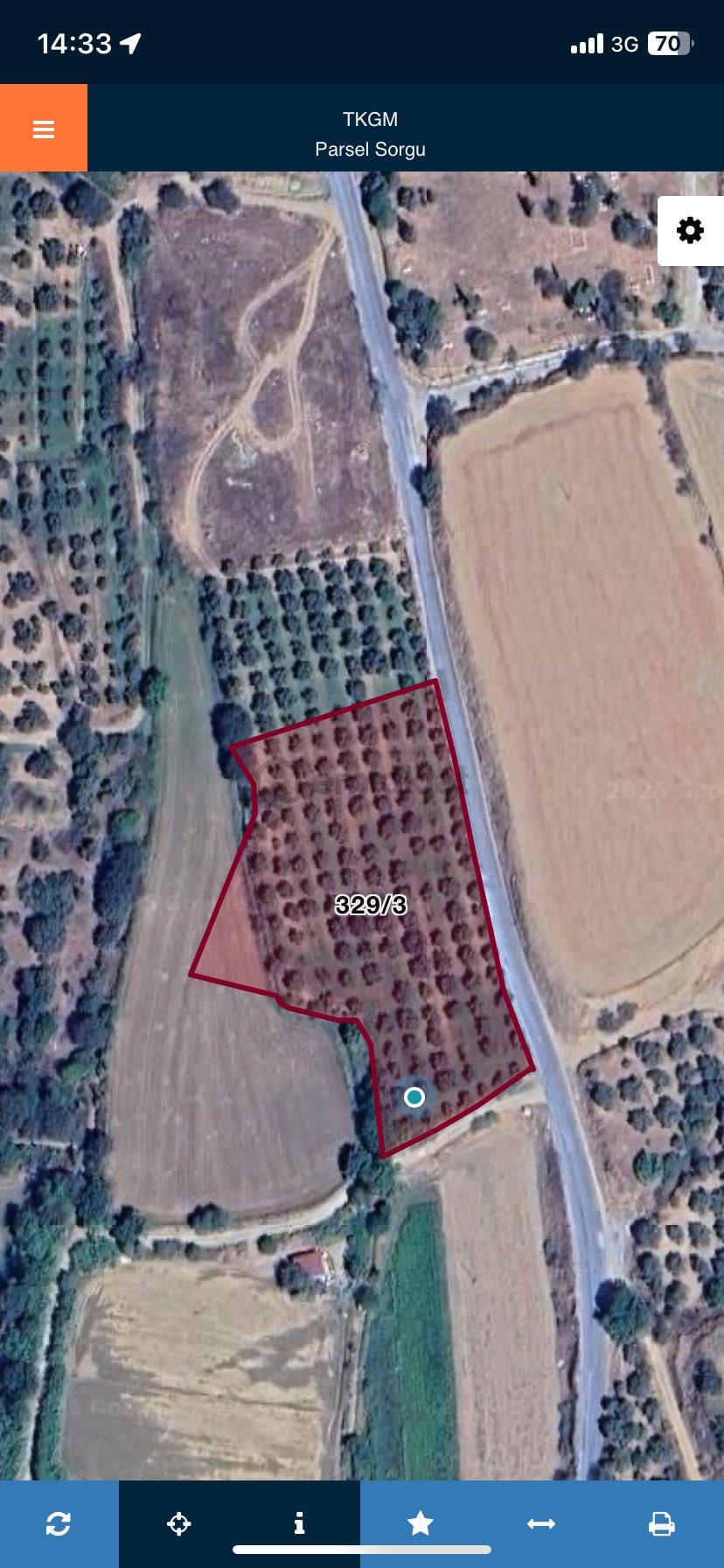 Arpazda 9 Dönüm Zeytinlik - 24