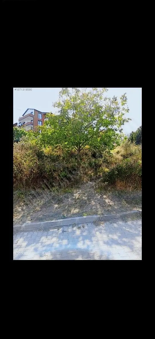Gözlemen Tepe , Şehitler Mah.satılık Arsa - 3