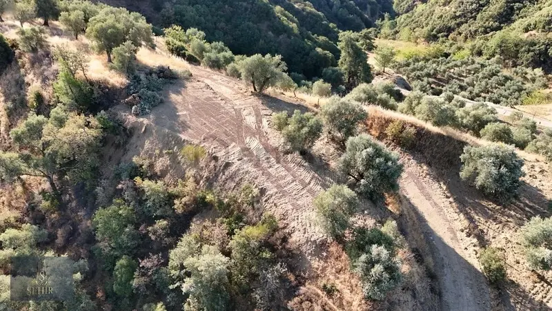 | Şehir'den | Hobi Bahçesi Arayanlara Hasköy'de 916m2 Bahçe - 3