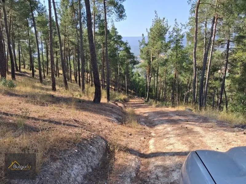 Sındırgı Çılbırcıda Uygun Arazi. - 2