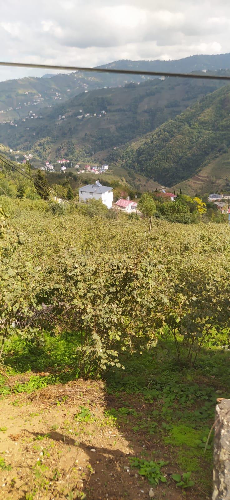 Doğa Manzaralı Satılık Fırsat Arsa - 7