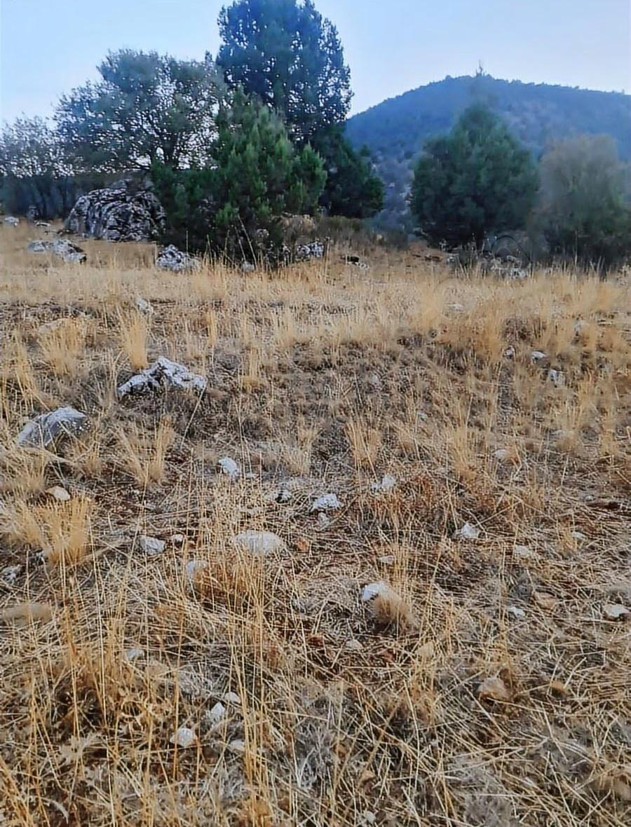 Yayla Bekçilerde 955 M2 Satılık Tarla. - 17