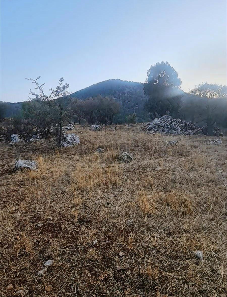 Yayla Bekçilerde 955 M2 Satılık Tarla. - 31