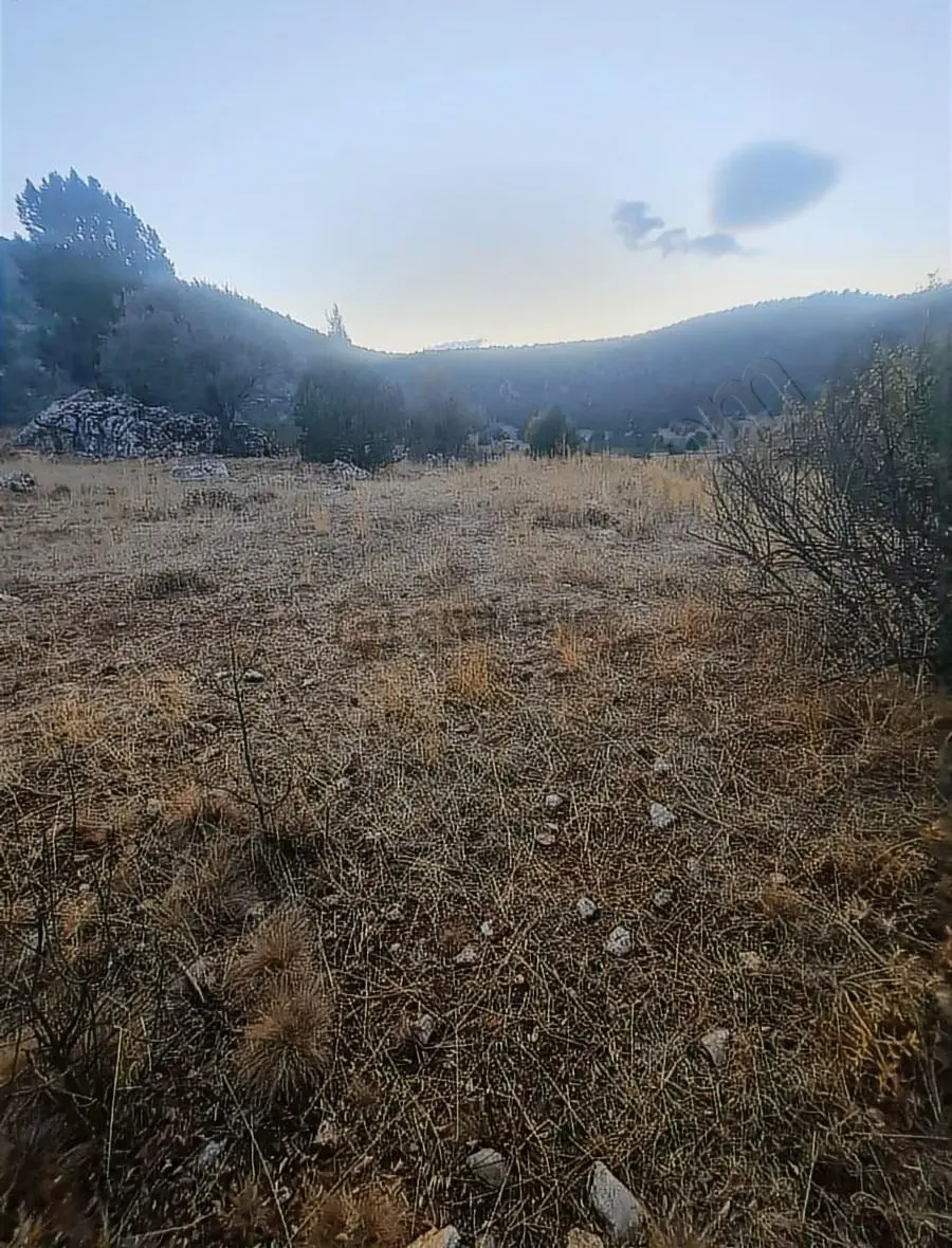 Yayla Bekçilerde 955 M2 Satılık Tarla. - 20