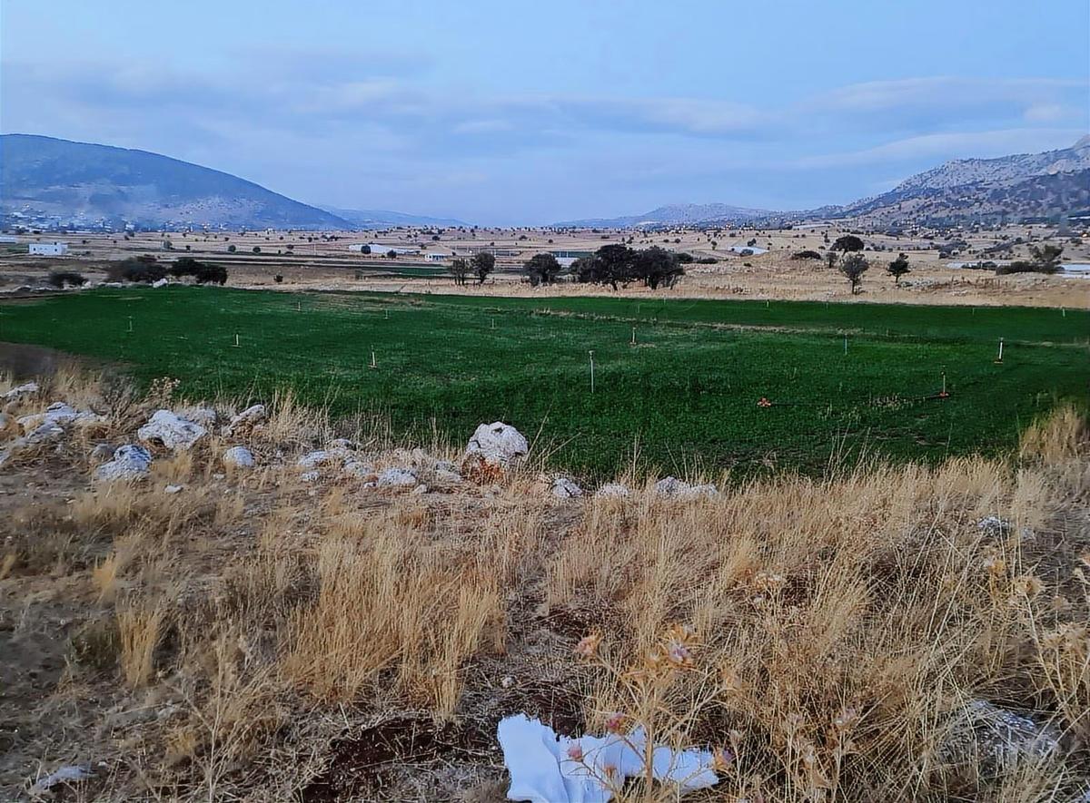 Yayla Bekçilerde 955 M2 Satılık Tarla. - 21