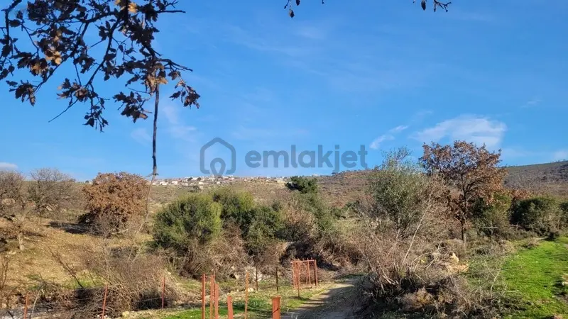 Ayvacık Naldöken Köyünde Köye Yakin Tarla - 11