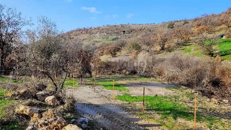 Ayvacık Naldöken Köyünde Köye Yakin Tarla - 27