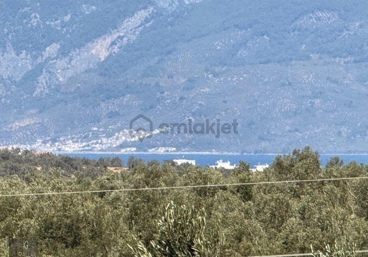 Kurallar Gayrimenkulden Pelitköy Mah Zeytinlik - 3