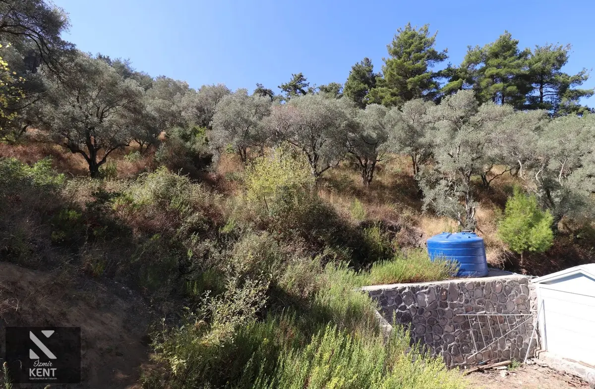 Kemalpaşa Aşağıkızılca Satılık 4536 M2 Bahçe - 31