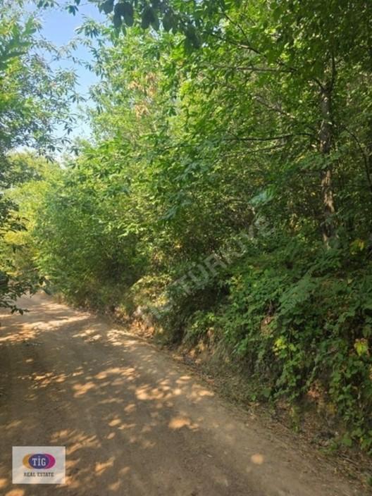 Bursa İnegöl Bahariye Satılık Bahçe - 2