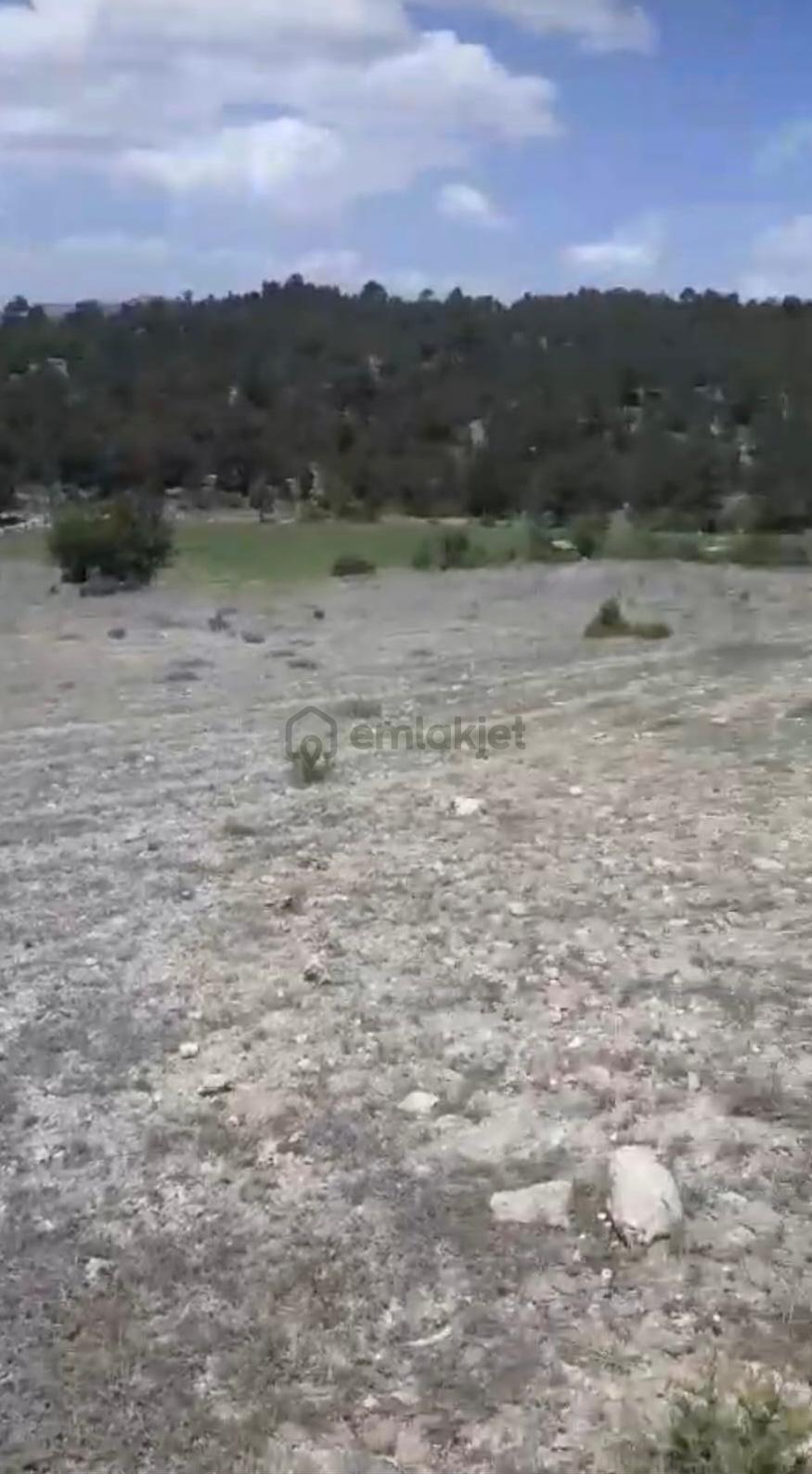 Çameli Ayvacık Ta 1770 M2 Tarla Satılık - 6