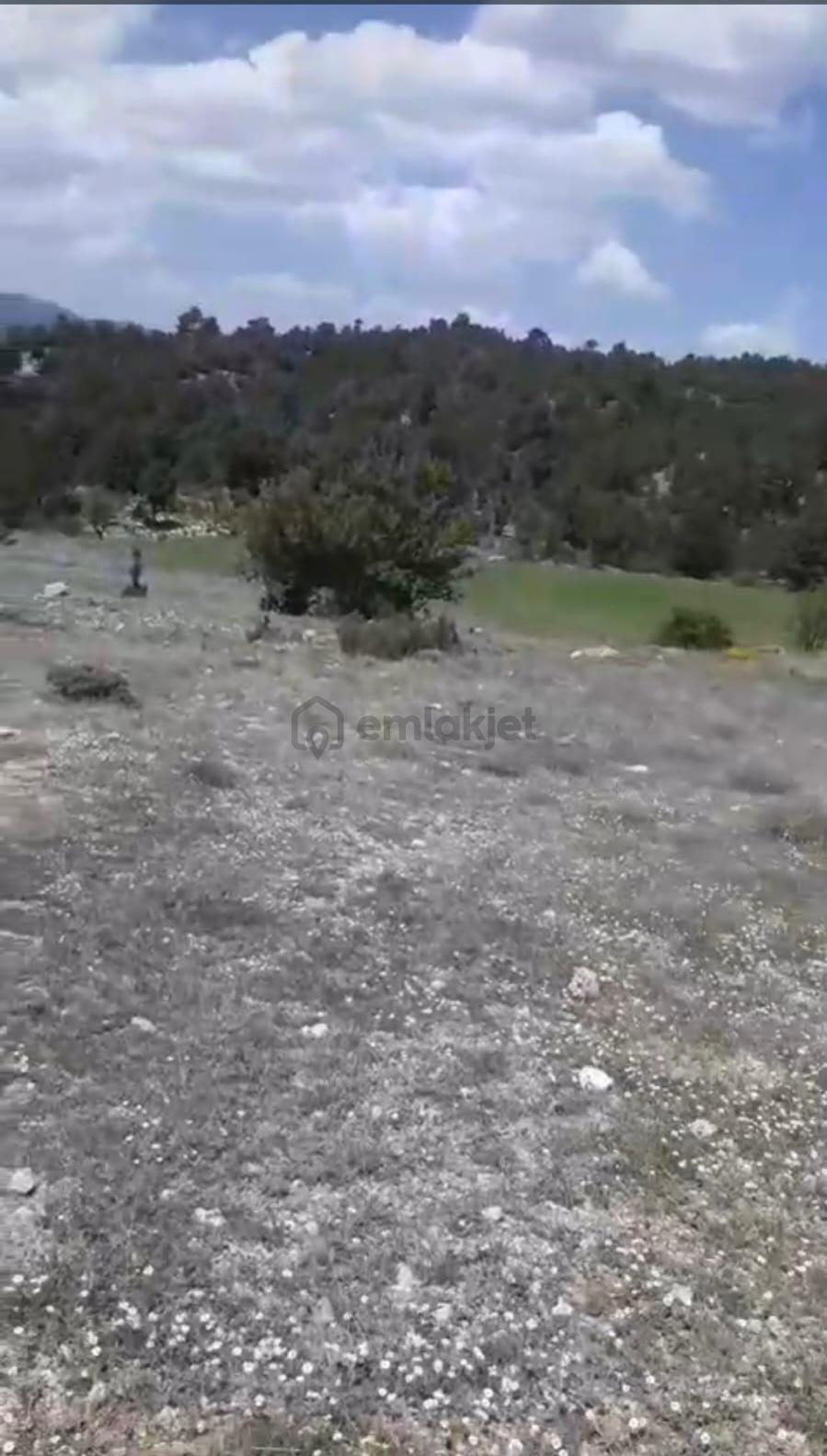 Çameli Ayvacık Ta 1770 M2 Tarla Satılık - 10