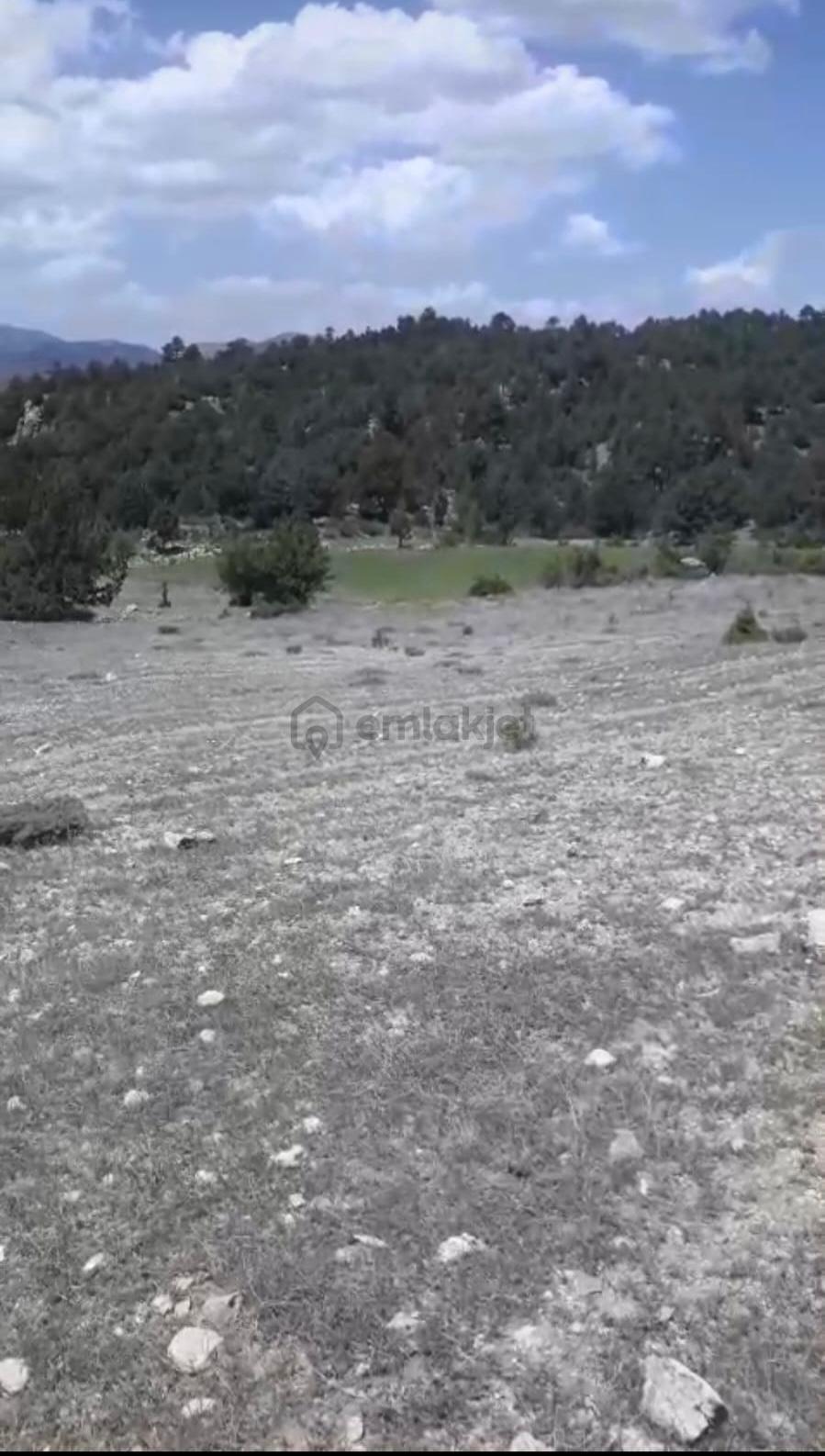 Çameli Ayvacık Ta 1770 M2 Tarla Satılık - 5