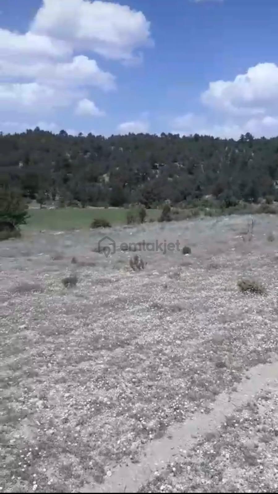 Çameli Ayvacık Ta 1770 M2 Tarla Satılık - 9