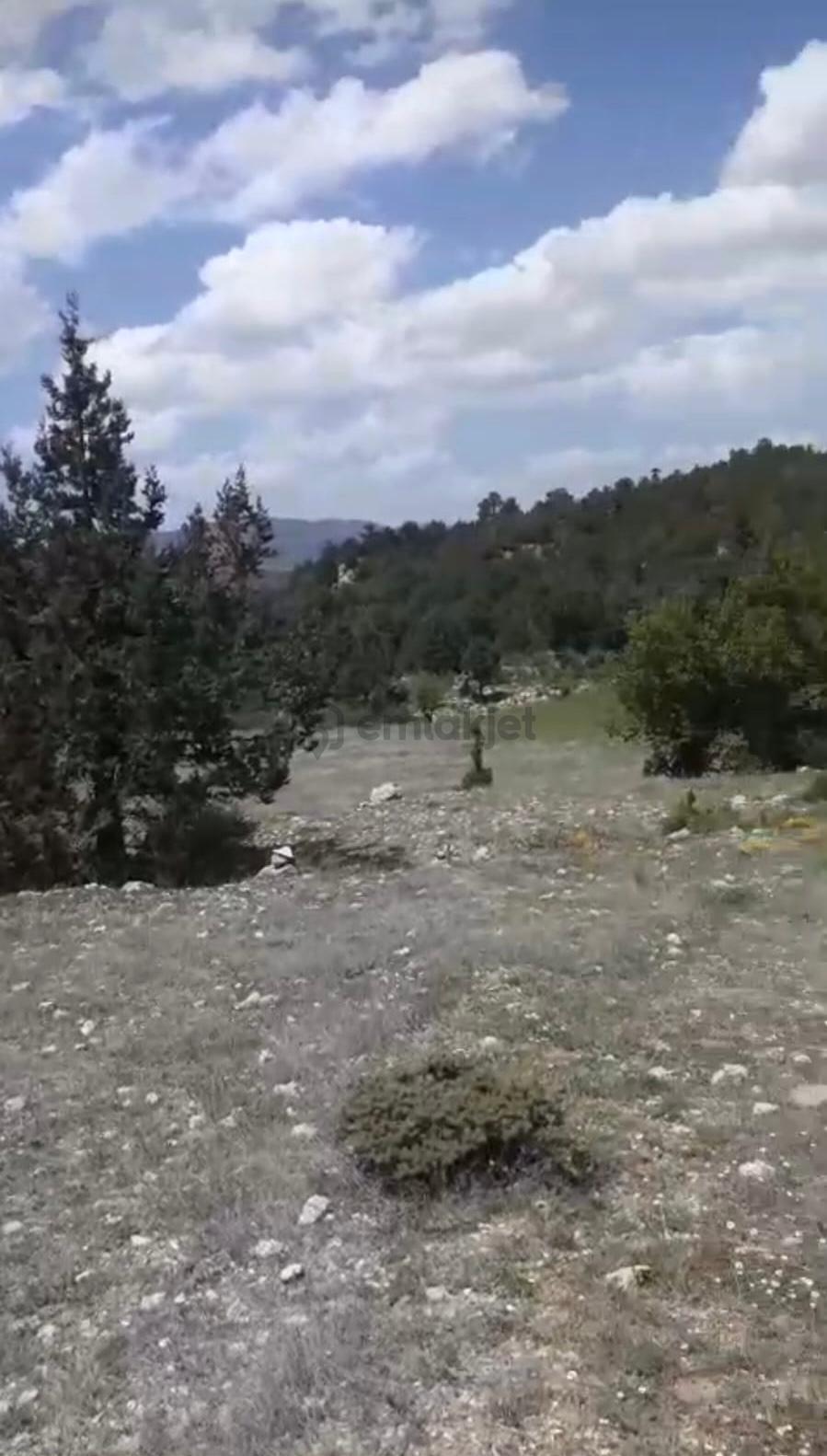 Çameli Ayvacık Ta 1770 M2 Tarla Satılık - 3