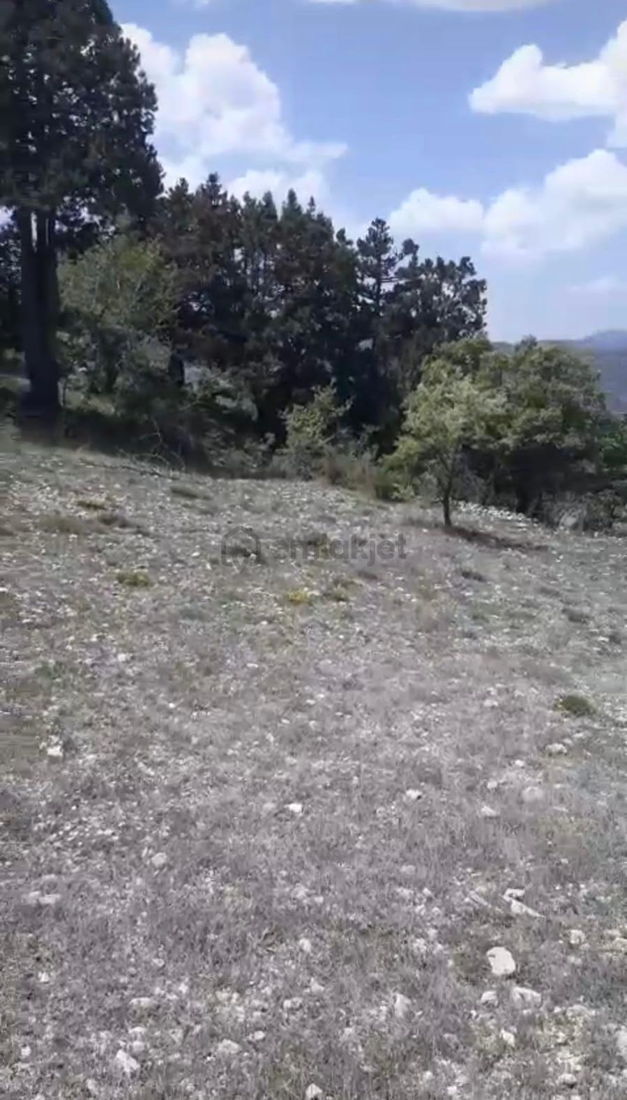 Çameli Ayvacık Ta 1770 M2 Tarla Satılık - 2
