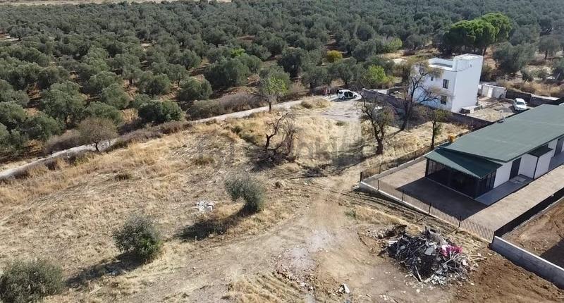 İmarlı Arsa Burhaniye Şarköy De 100 De 40 İmarlı Olan Arsa - 4