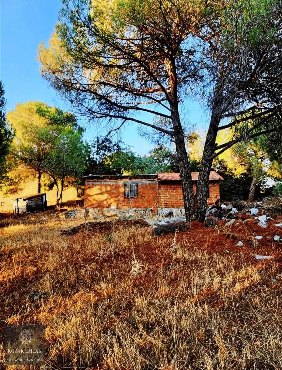 İzmir Bergama Kozak Okçular Eski Yapı Dam Bağ Satılık - 6