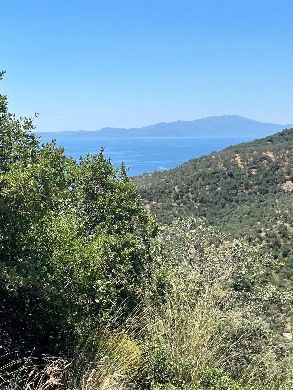 📍 Çanakkale / Ayvacık / Ahmetçe Köyü - 18
