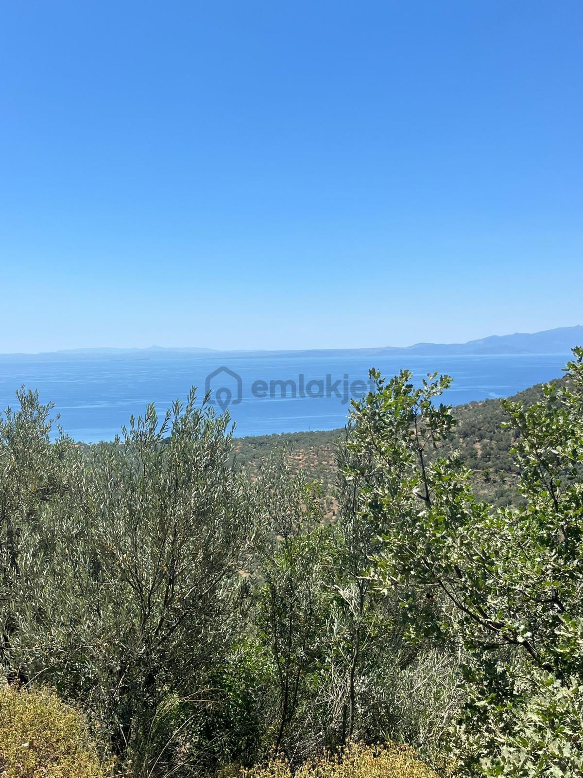 📍 Çanakkale / Ayvacık / Ahmetçe Köyü - 12