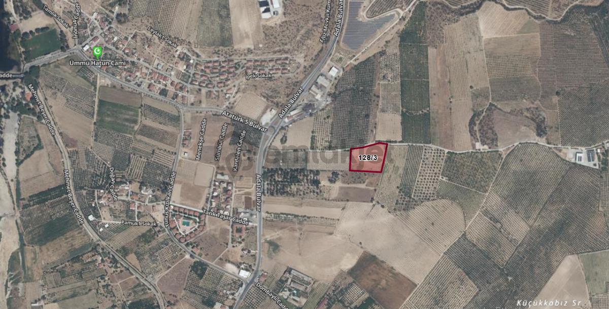Adala'da 9.983 M2 Satılık Zeytinlik - 12