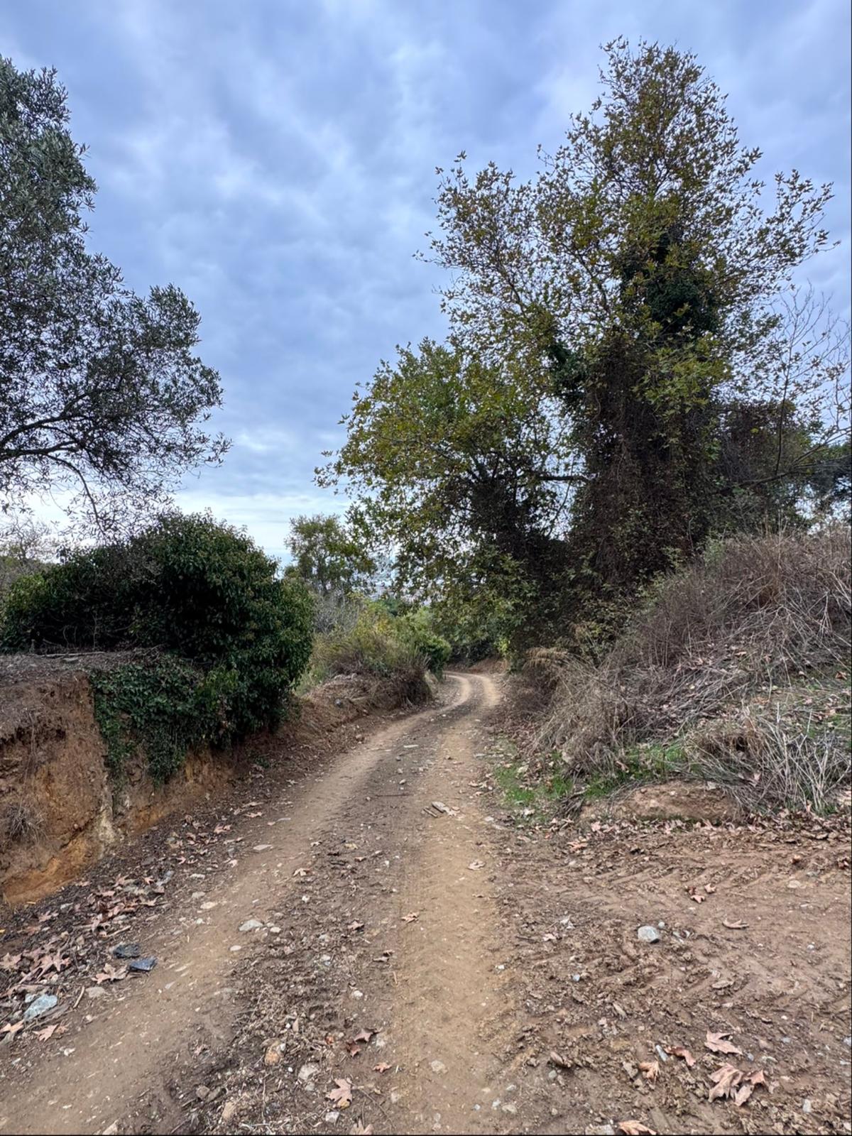 Balıkesir Bandırma Sabil Yenice Mahllesi - 3