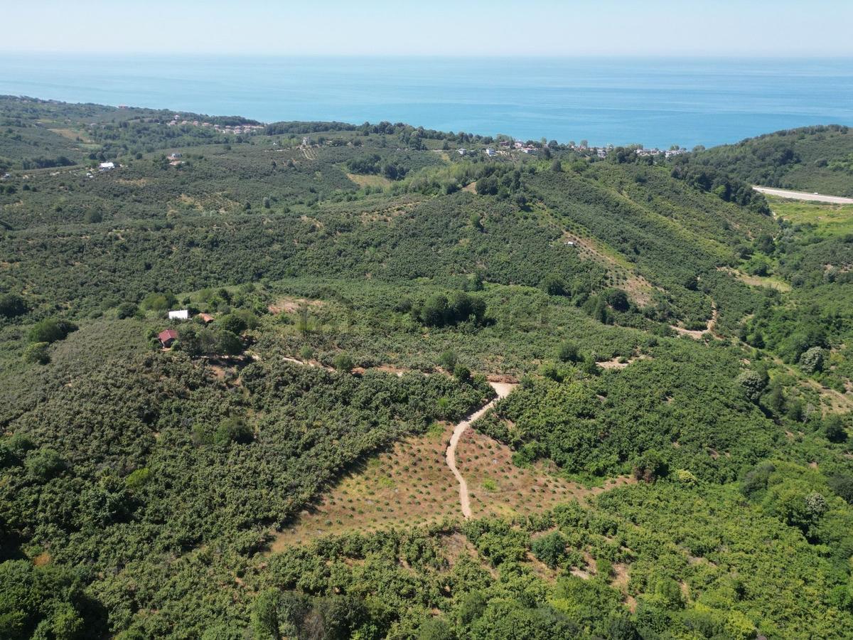 Akçakoca Hasançavuş'da Deniz Manzaralı İmarlı Satılık Arsa - 6