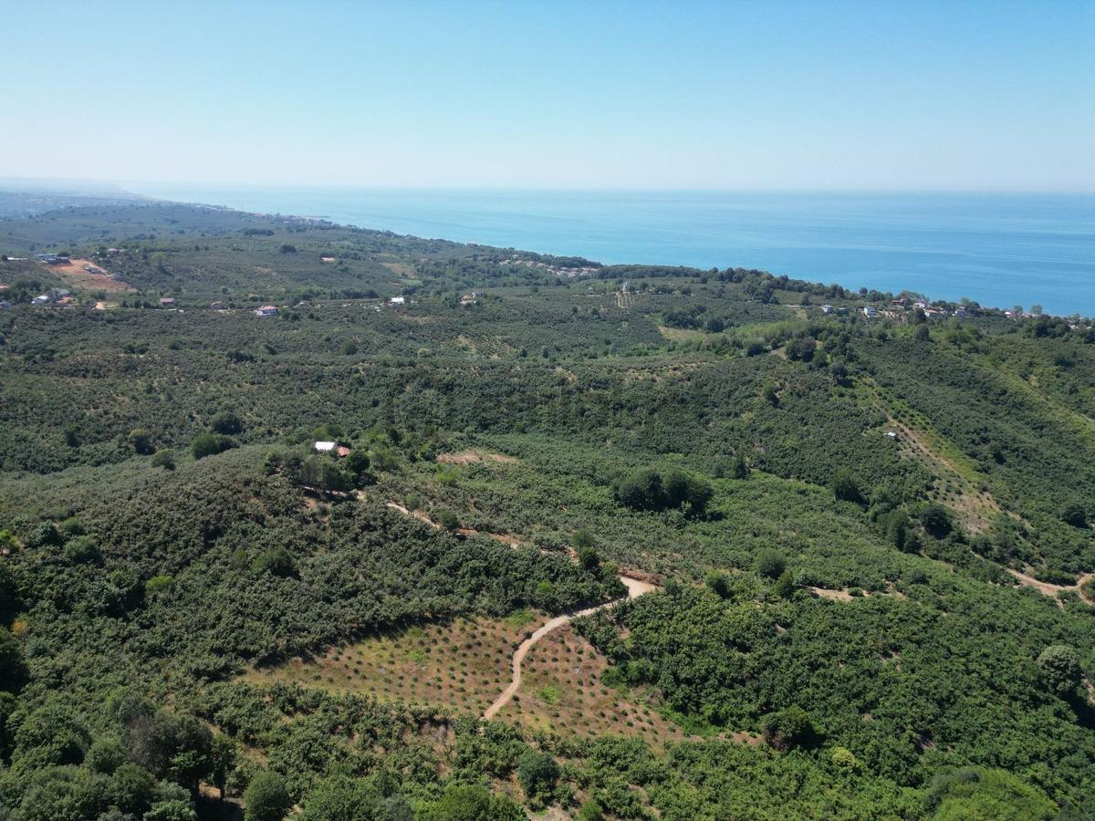 Akçakoca Hasançavuş'da Deniz Manzaralı İmarlı Satılık Arsa - 5