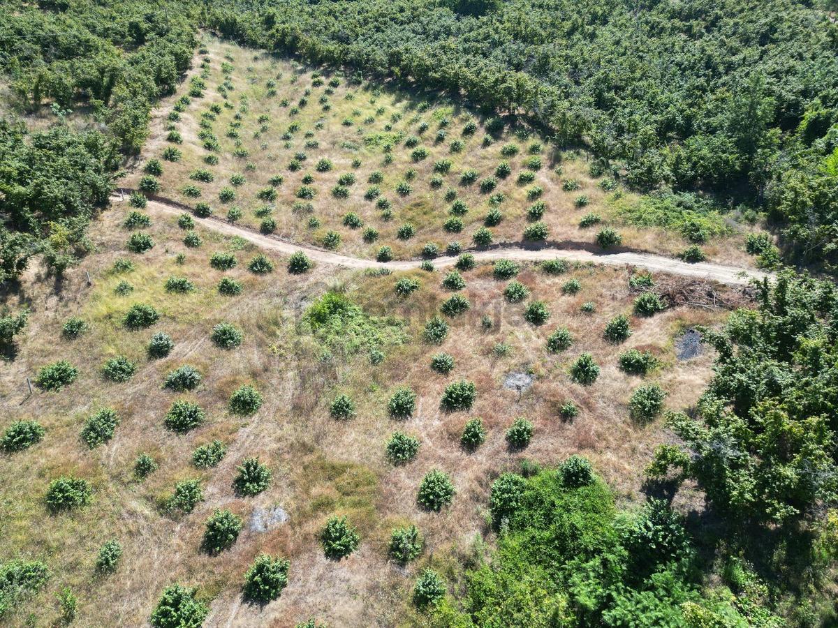 Akçakoca Hasançavuş'da Deniz Manzaralı İmarlı Satılık Arsa - 20