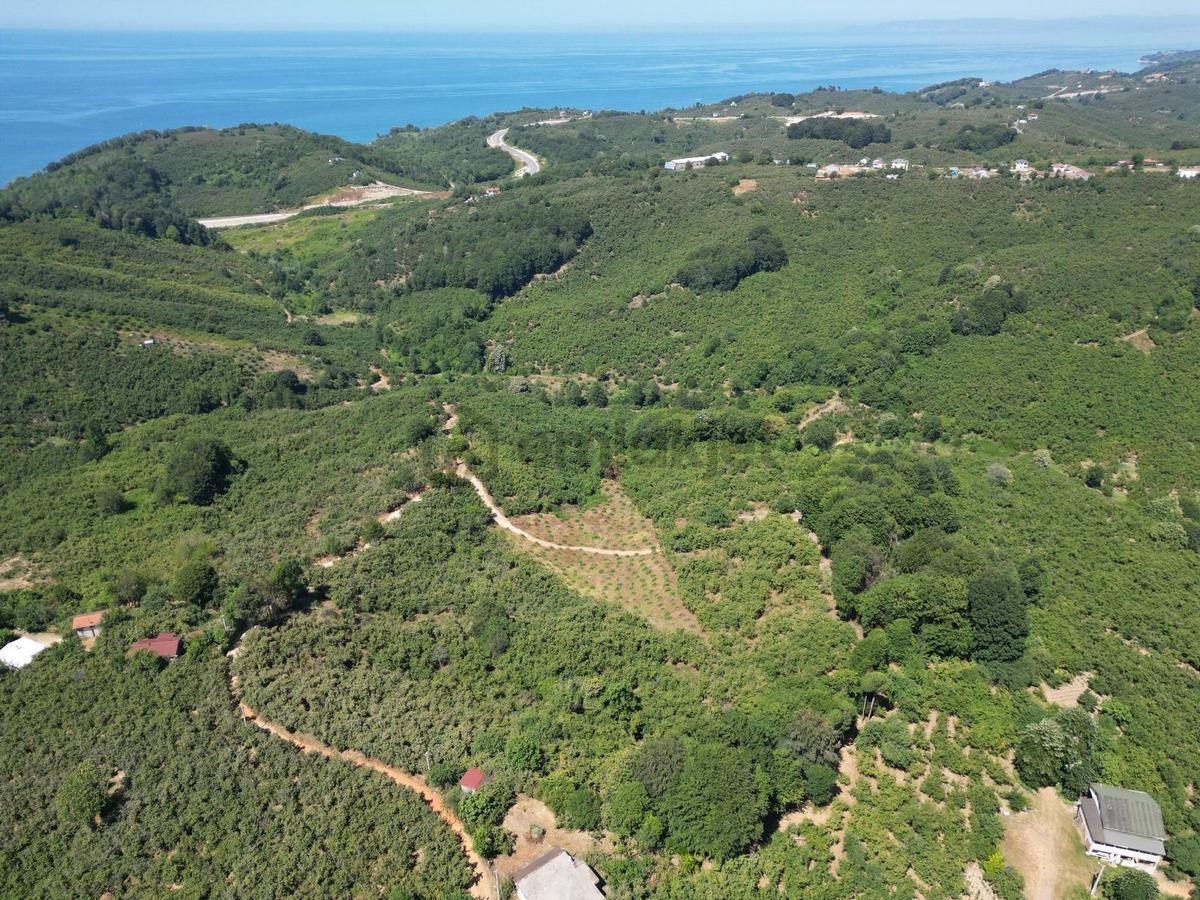 Akçakoca Hasançavuş'da Deniz Manzaralı İmarlı Satılık Arsa - 11