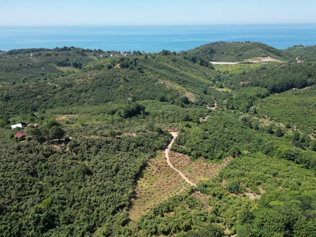 Akçakoca Hasançavuş'da Deniz Manzaralı İmarlı Satılık Arsa - 12