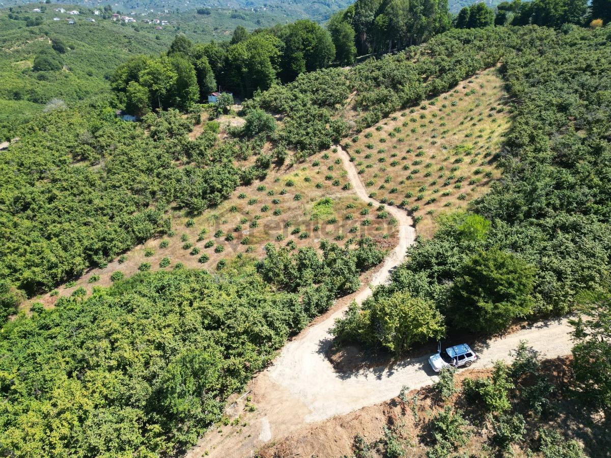 Akçakoca Hasançavuş'da Deniz Manzaralı İmarlı Satılık Arsa - 25