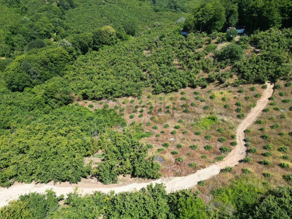 Akçakoca Hasançavuş'da Deniz Manzaralı İmarlı Satılık Arsa - 19