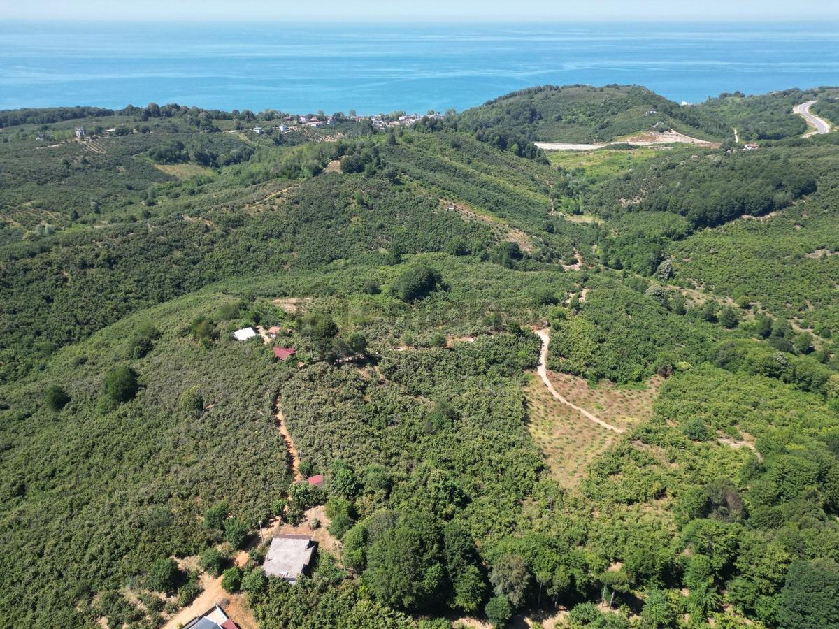 Akçakoca Hasançavuş'da Deniz Manzaralı İmarlı Satılık Arsa - 2