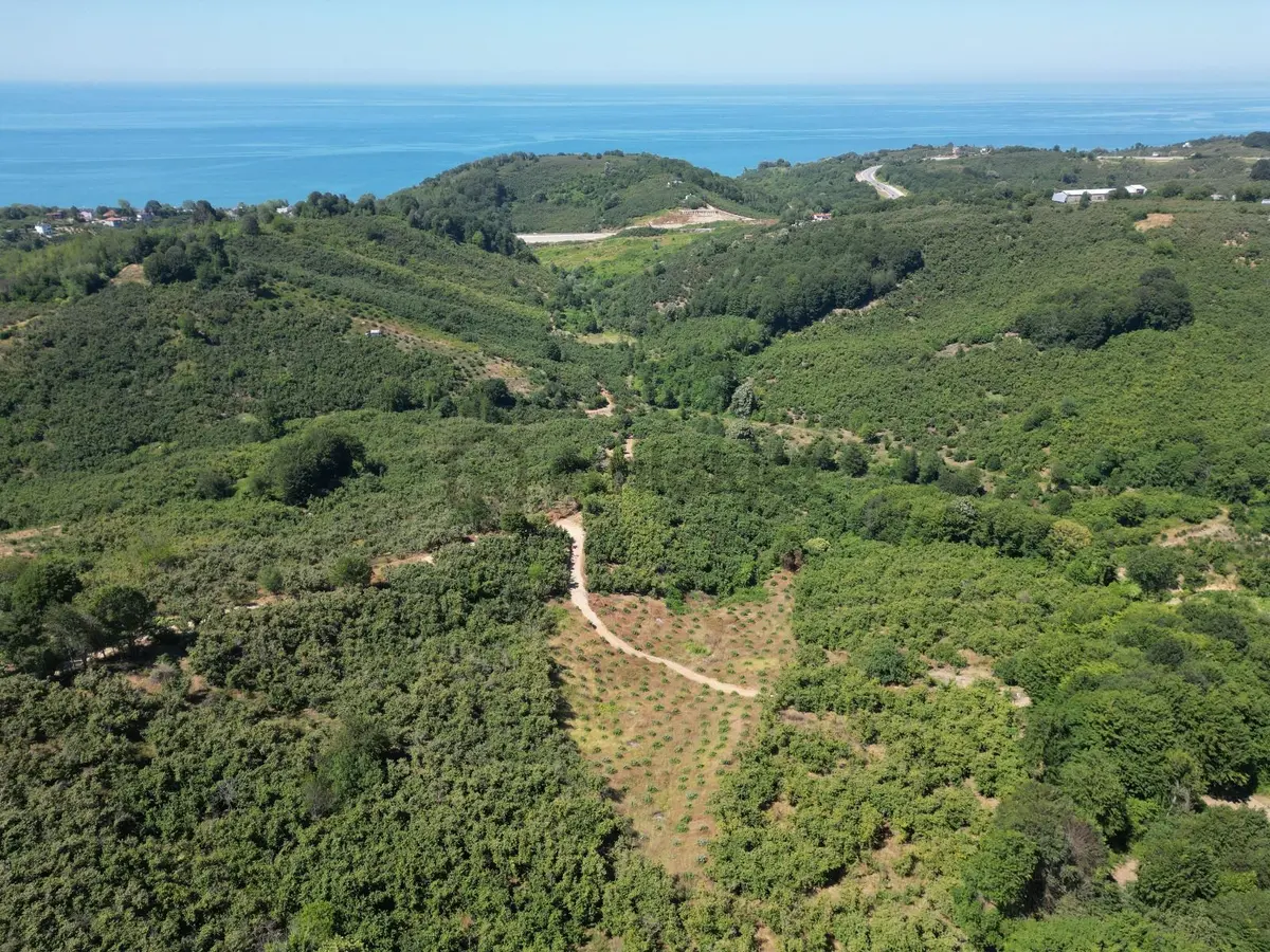 Akçakoca Hasançavuş'da Deniz Manzaralı İmarlı Satılık Arsa - 10