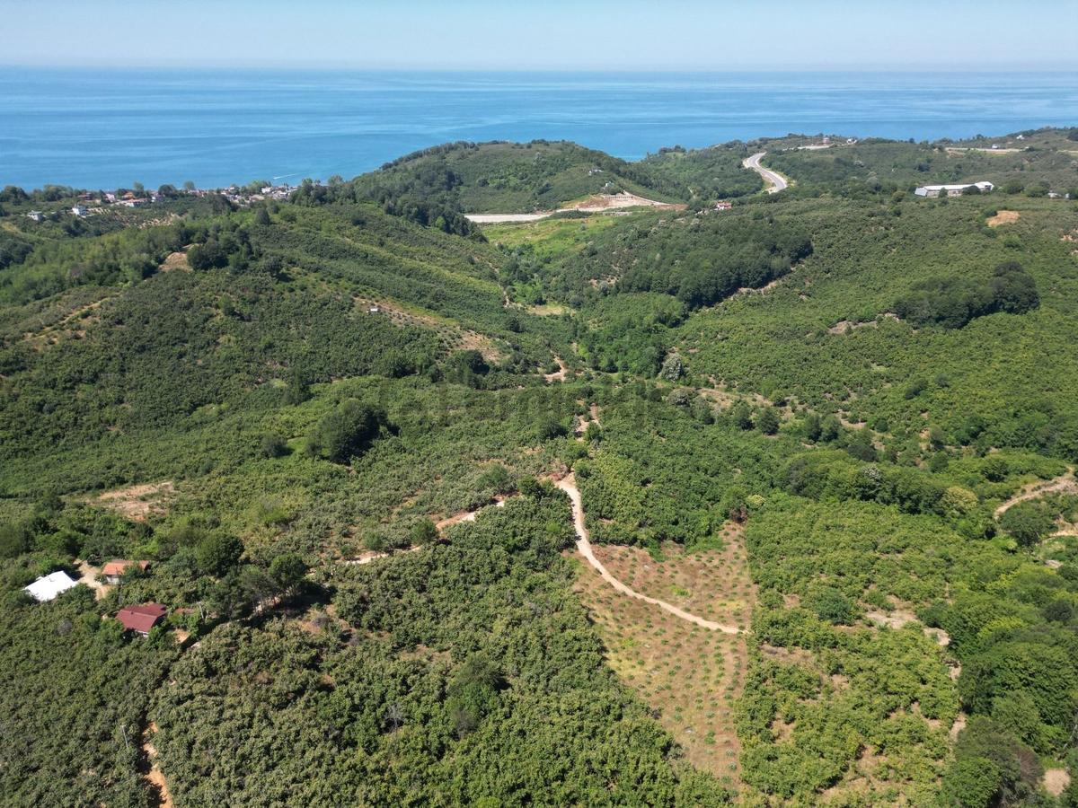 Akçakoca Hasançavuş'da Deniz Manzaralı İmarlı Satılık Arsa - 3