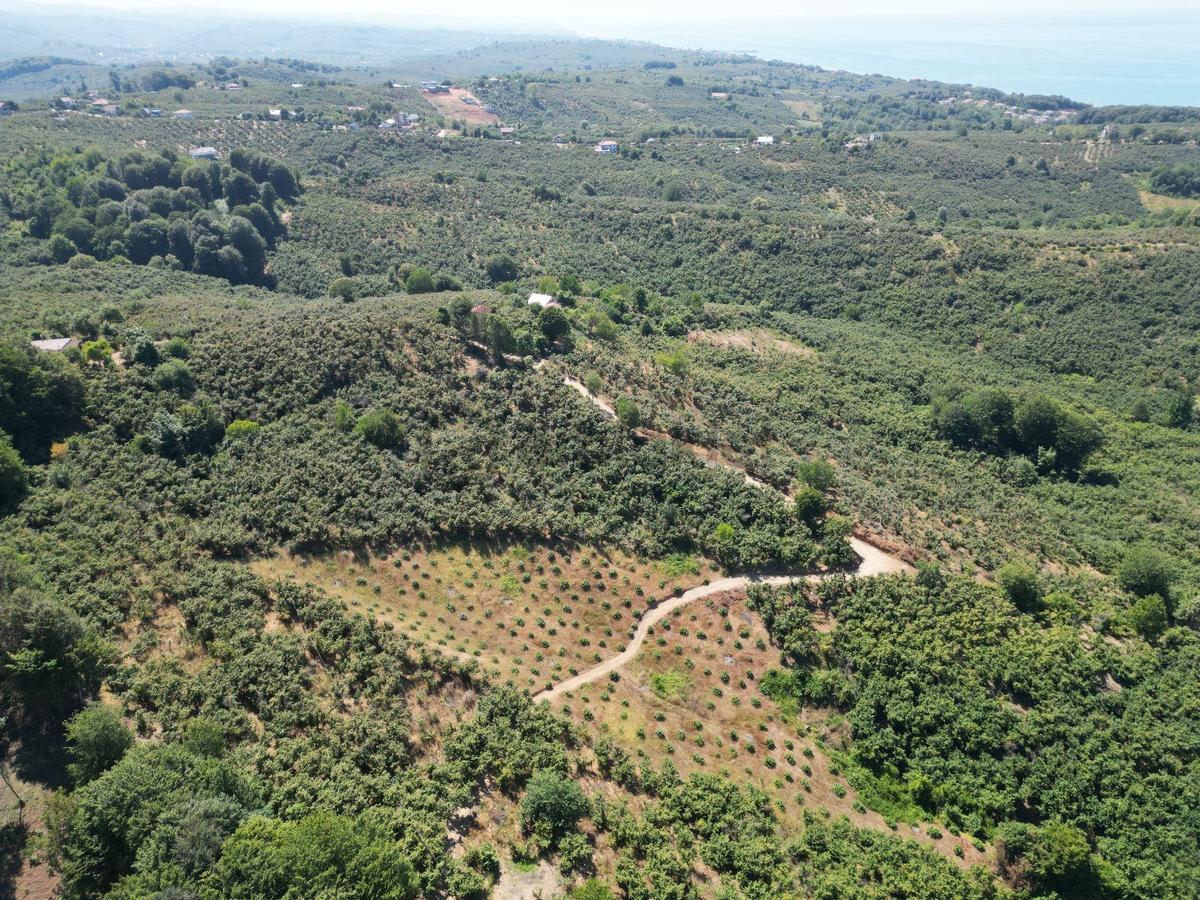 Akçakoca Hasançavuş'da Deniz Manzaralı İmarlı Satılık Arsa - 17