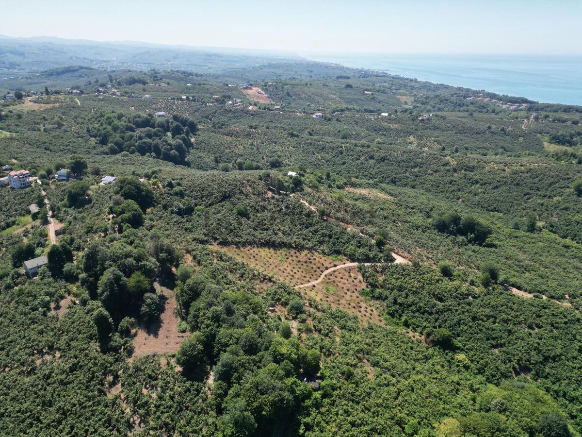 Akçakoca Hasançavuş'da Deniz Manzaralı İmarlı Satılık Arsa - 13