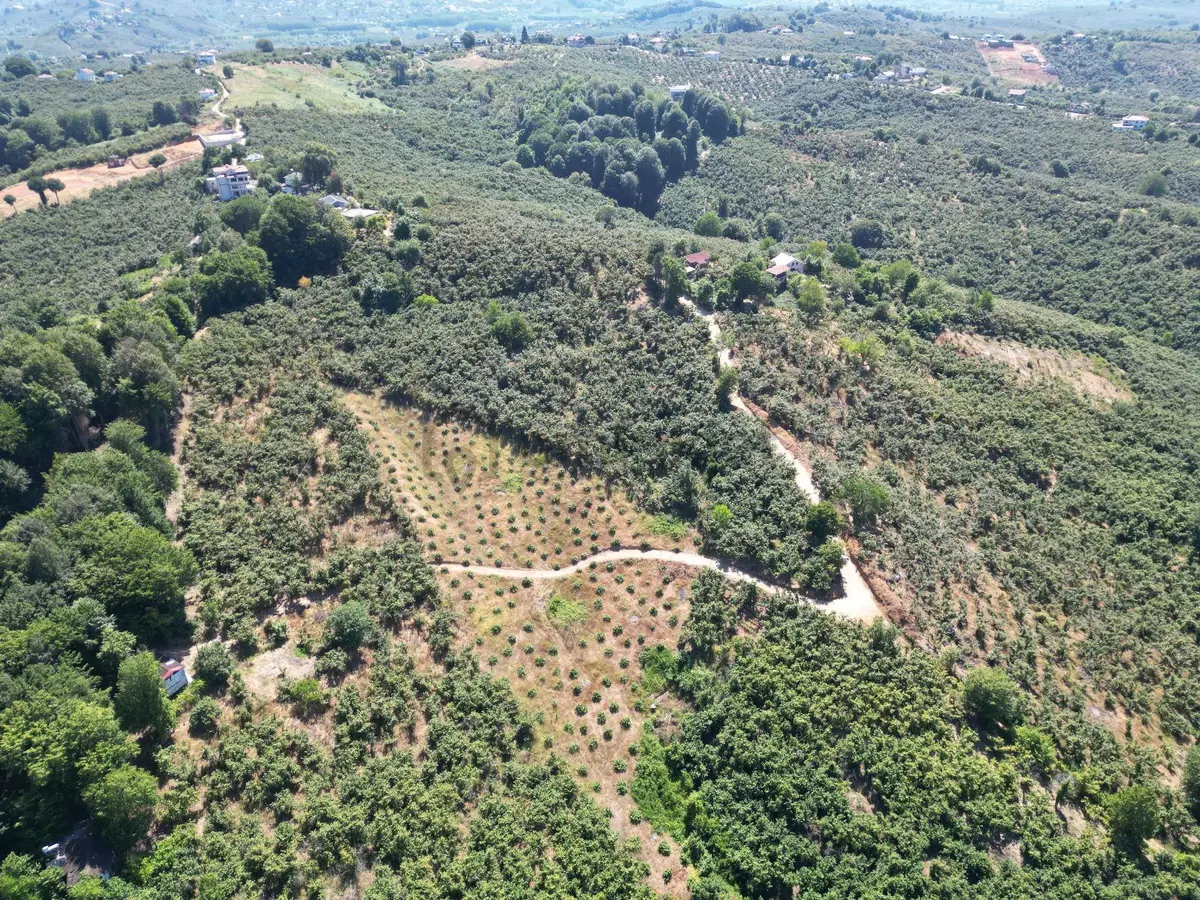 Akçakoca Hasançavuş'da Deniz Manzaralı İmarlı Satılık Arsa - 14