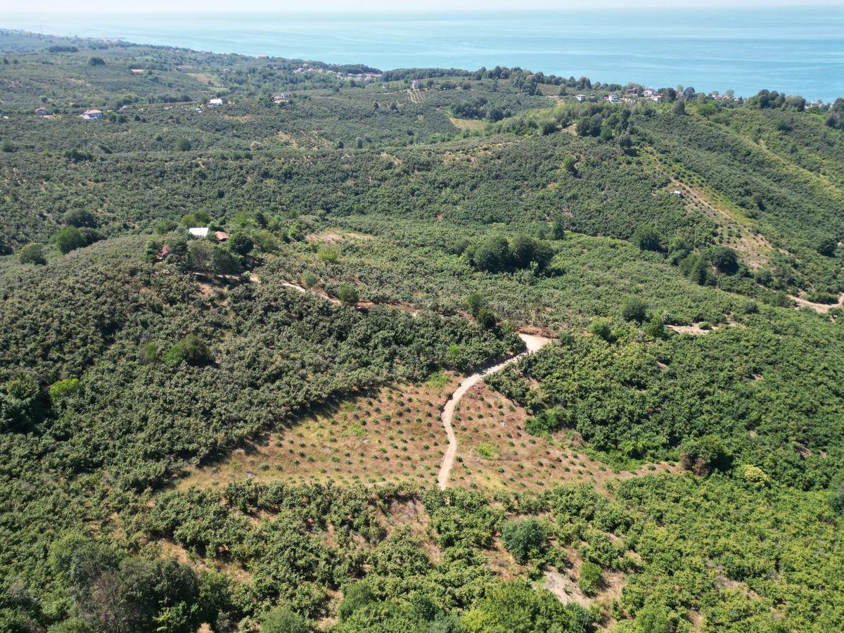 Akçakoca Hasançavuş'da Deniz Manzaralı İmarlı Satılık Arsa - 22