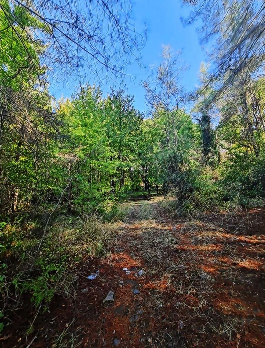 Zeytinalanında 4100 M2 Satılık Tarla. - 20