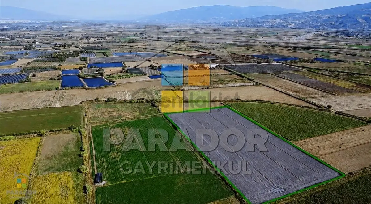 Aydın Sultanhisar Atça Mahallesinde Satılık 31114 M² Tarla - 4
